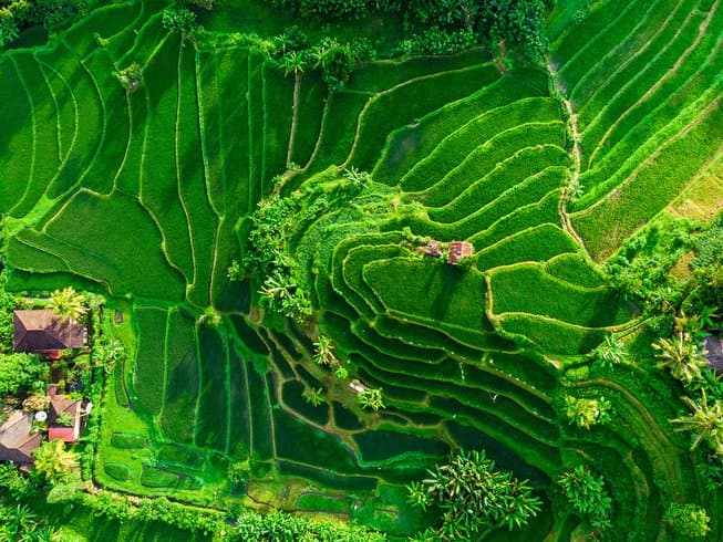 10-dniowy holistyczny retreat jogi Watukaru, medytacji i kultury balijskiej w Indonezji