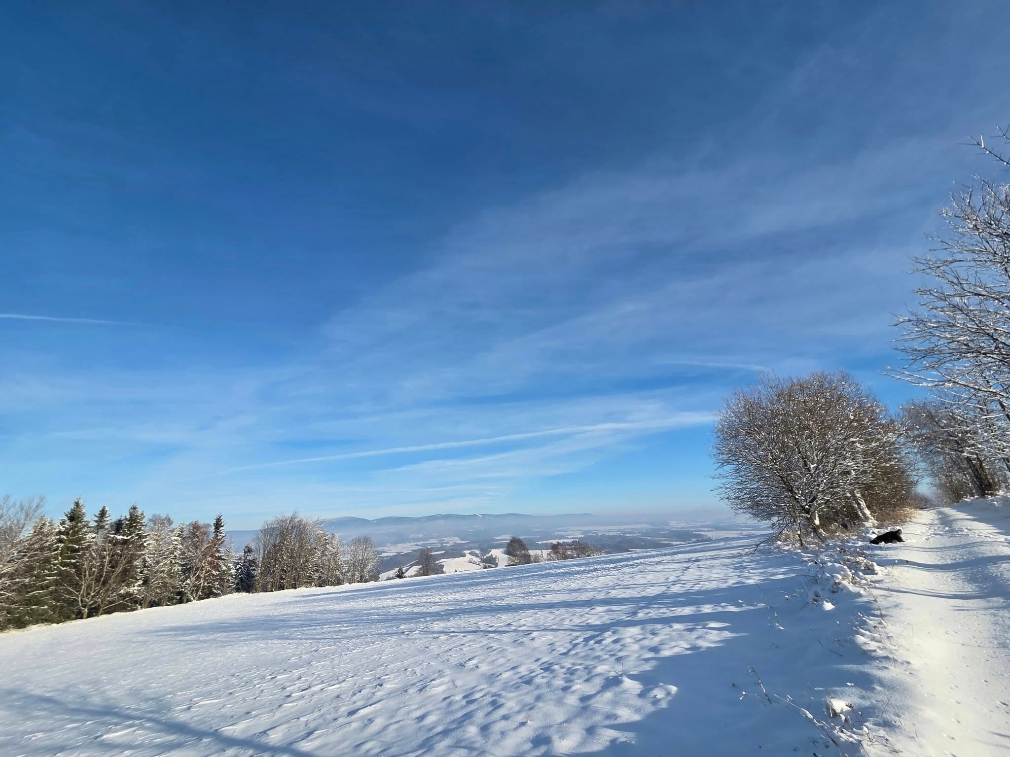 GÓRSKI RESET- joga i trekking, Marzec 2026