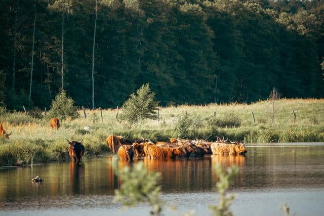 JOGA w KROWACJI - MUUuusisz odpocząć 