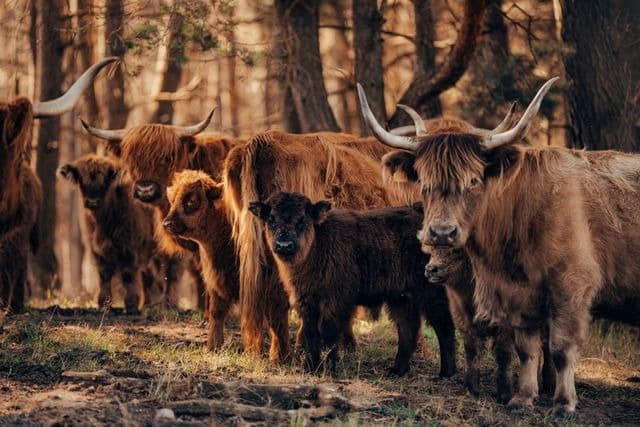 JOGA w KROWACJI - MUUuusisz odpocząć 
