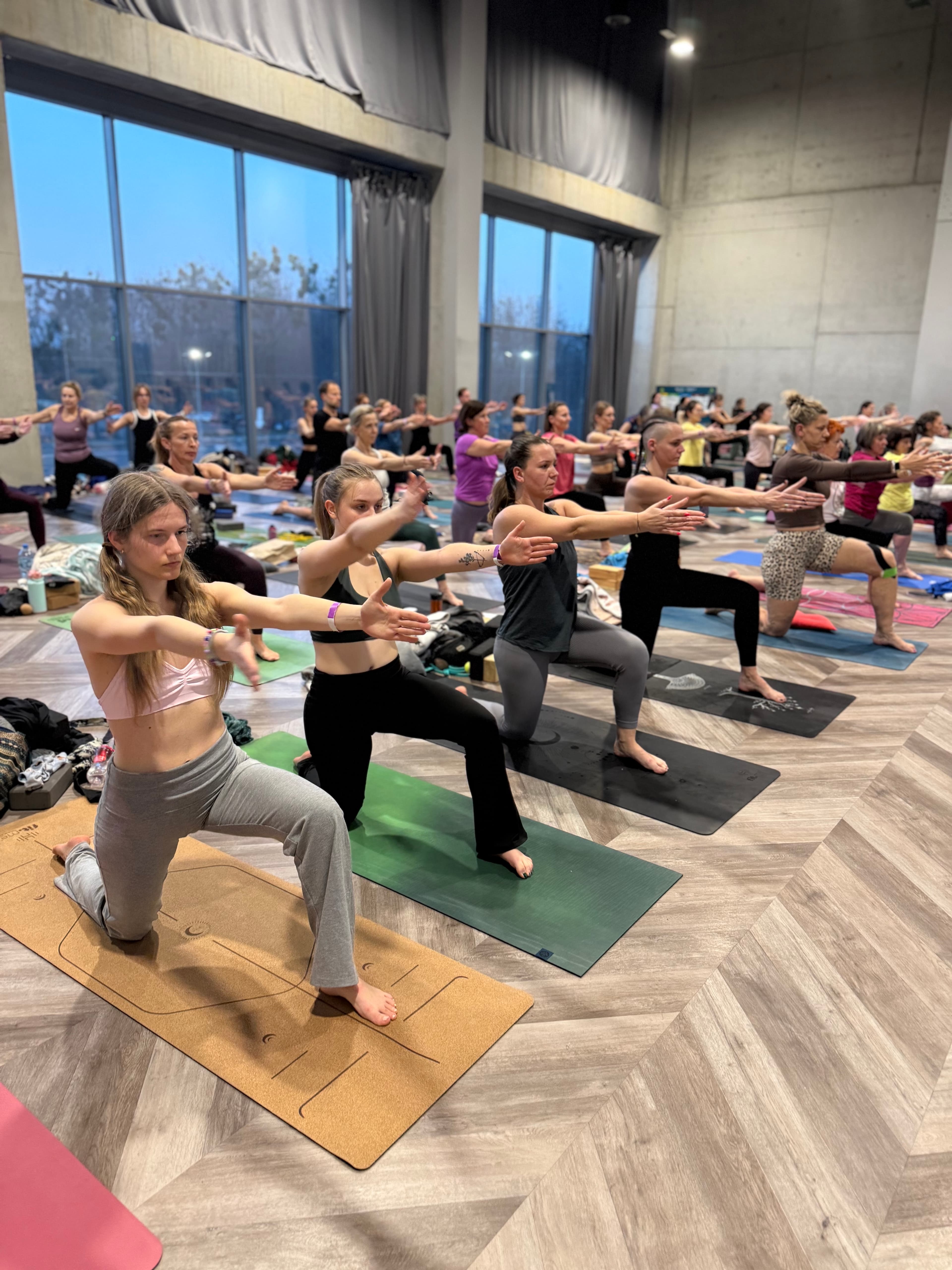 VII Śląski Festiwal Jogi