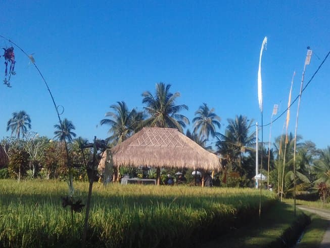 Meditation and Yoga Retreat