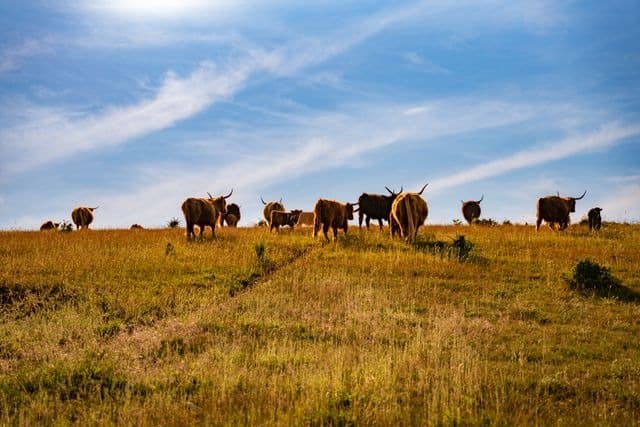 JOGA w KROWACJI - MUUuusisz odpocząć 