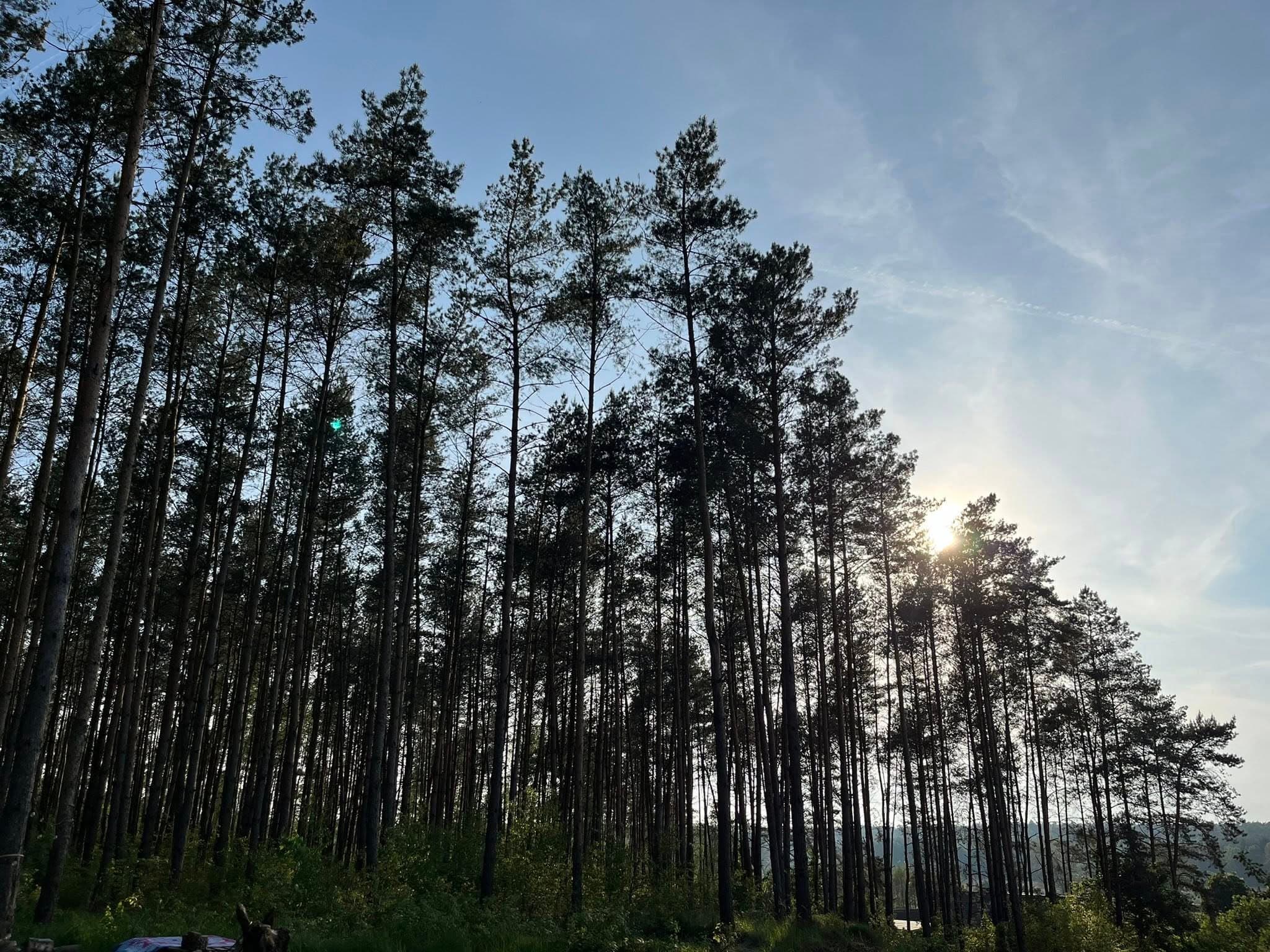 Majówka z jogą & Spa reset którego potrzebujesz