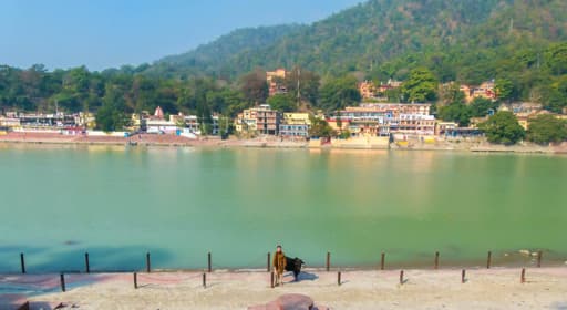 INDIE - Jogowe marzenie: Podróż przez Indie, podróż przez czakry 