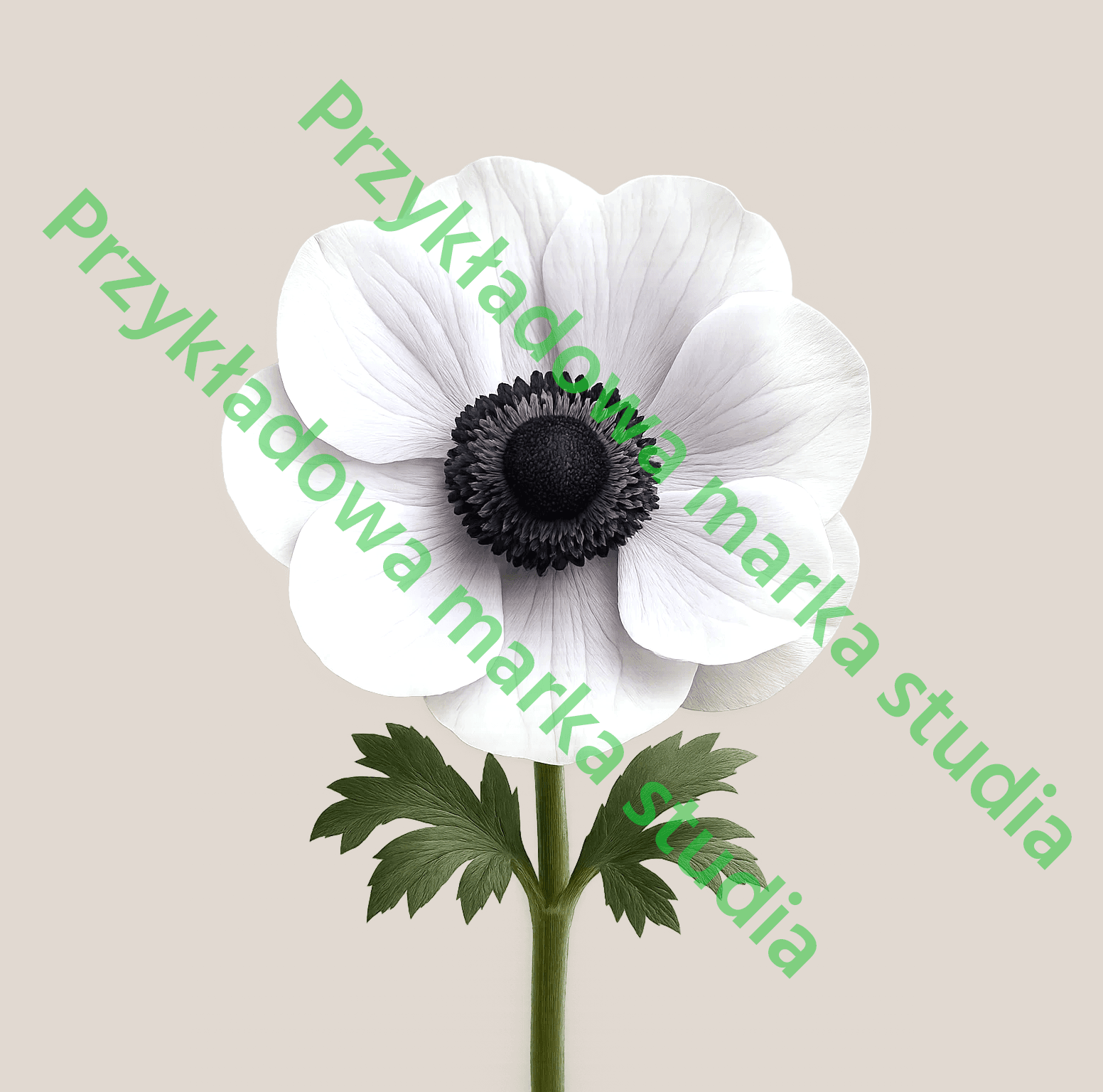 Nazwa Organizatora (wzór)